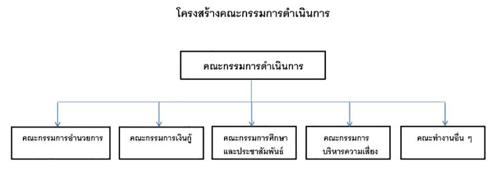 โครงสร้างคณะกรรมการดำเนินการ