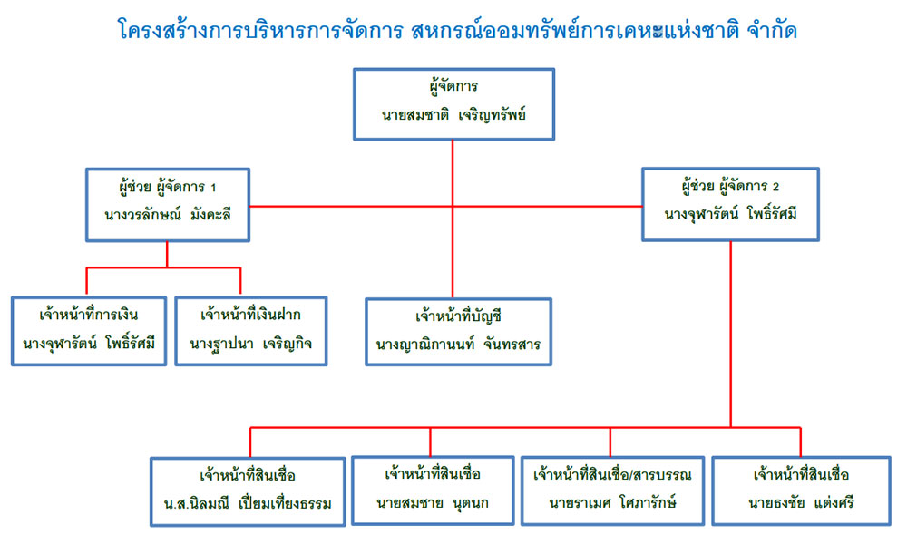 โครงสร้างการบริหารการจัดการ 2560